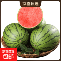 京东 手剥皮小西瓜2K小糖丸西瓜新鲜水果薄皮西瓜脆甜手撕红肉甜瓜整箱 小糖丸1.5-2斤净重1.3斤+