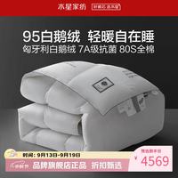 水星家纺 鹅绒被匈牙利进口95%白鹅绒冬被芯秋冬羽绒被子 暄羽抗菌匈牙利白鹅绒冬被150×210cm