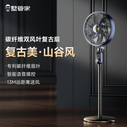 墅管家山谷风电风扇落地2026新款静音立式空气循环金属家用复古扇