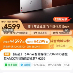 飞牛NAS 飞牛 EVO 4 Pro AMD H255 处理器