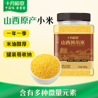 十月稻田 山西黄小米 800g