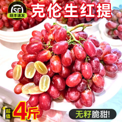 SHA WO SHU GUANG 无籽葡萄克伦生红提新鲜水果提子脆甜皮薄无核儿童整箱