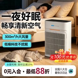 AirBurg 空气净化器除甲醛家用卧室母婴除异味除过敏原