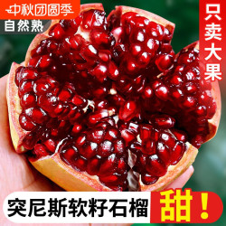 正宗四川会理突尼斯软籽石榴新鲜孕妇水果应当季4.5斤250g+礼盒装