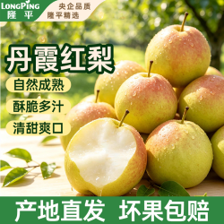 隆平 丹霞红梨 新鲜采摘脆甜多汁 应季水果 净重4.5斤  单果220g+