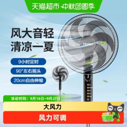 海尔 电风扇家用遥控落地扇宿舍卧室立式大风力柔风广角风扇电扇