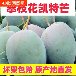 江南沐汐 四川攀枝花凯特芒芒果水果凯特新鲜当季包邮应季青皮大果直发