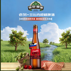 Baltika 波罗的海老列兰比克樱桃啤酒 450ml*6瓶  俄罗斯原装进口啤酒