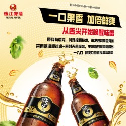 珠江啤酒 原浆1997纯生雪堡白啤酒500mL*3罐精酿小麦啤酒尝鲜