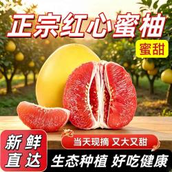 新鲜整箱漳州平和蜜柚红肉多汁清甜不腻新鲜水果整箱批发