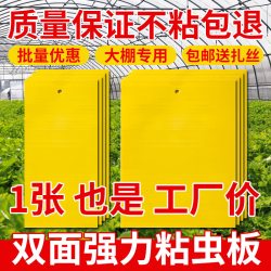 朋意 黄板双面小飞虫灭杀诱蝇大棚灭苍蝇贴纸果蝇蚊子诱捕