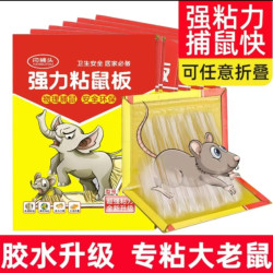 粘鼠板粘鼠贴粘鼠纸粘老鼠纸