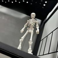 兼至 骷髅可动人偶全关节可动拼装摆件3d打印整蛊模型创意送朋友礼物