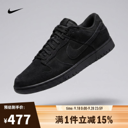 NIKE 男子NIKE DUNK LOW RETRO SE运动休闲鞋 IB6651-001 40.5