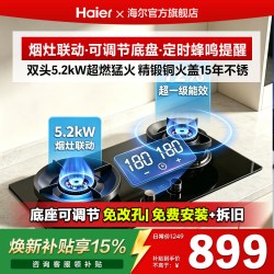海尔 定时天然气燃气灶 猛火节能灶具家用双灶炉灶台嵌两用H70PDU9