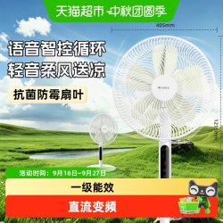 格力 电风扇一级能效家用直流变频节能大风遥控落地扇卧室轻音风扇
