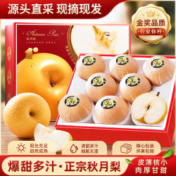 梦宛怡 山东秋月梨莱阳冰糖梨正宗特级丰水冰糖梨子当季新鲜水果中秋送礼 5斤装优选尝鲜果