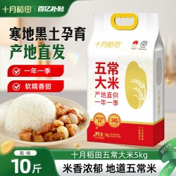 十月稻田 五常大米 东北稻花香米
