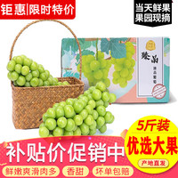 玖原农珍 阳光玫瑰葡萄 7-10g大果 5斤
