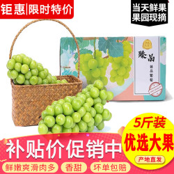 玖原农珍 阳光玫瑰葡萄 7-10g大果 5斤