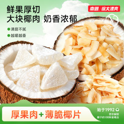 南国 椰子角椰子脆片果干海南三特产办公室小零食H