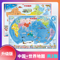 北斗 中国地图+世界地图 覆膜撕不烂 2张 挂图