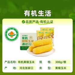 金沃瑞丰 有机新鲜粘糯甜黄糯玉米300g*5/8根真空包装（三人拼团好价）