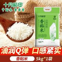 百亿补贴：十月稻田 香粘米5kg软糯香甜籼米南方大米长粒香真空