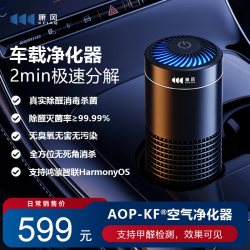 康风 车载空气净化器F3便携除甲醛除二手烟除异味消毒杀菌汽车专用