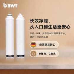 BWT 德国BWT倍世高端进口家用厨房净水器0阻垢大流量矿物质厨下直饮机
