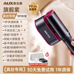 奥克斯 熨烫机真丝挂烫机低温专用熨斗手持家用小型桑蚕丝蒸汽便携