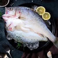 鲜京采 生鲜鱼类 白蕉鲈鱼地标  源头直发 白蕉海鲈鱼500g*3