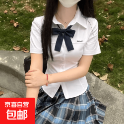 JK 学院风JK格裙白色收腰刺绣衬衫夏季百搭日系半身裙休闲百褶裙
