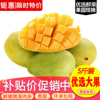 玖原农珍 海南青皮金煌芒现摘优选大芒果 新鲜水果 4.5斤 -5斤 现摘果 5斤 含箱 现摘果