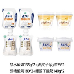 庄园牧场 浆水酸奶醪糟甜醅子冰淇淋百合苦水玫瑰酸奶老兰州特产