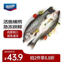 海名威 鲜冻海鲈鱼850g 2条装包邮