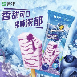 蒙牛 冰+蓝莓酸奶口味棒冰 70g*6支
