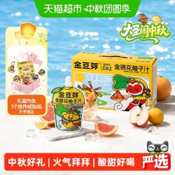 金豆芽 金银花柚子汁美猴王中秋礼盒儿童果汁节日送礼100ml️13