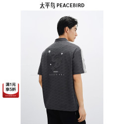 太平鸟 BACOF210X 条纹插肩袖深灰色男士POLO衫 XL
