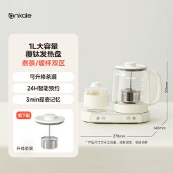 ankale 养生壶办公室小型烧水壶保温玻璃迷你养生杯多功能煮花茶壶