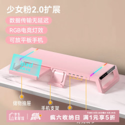 EACHY 显示器增高架多功能台式电脑桌支架显示器支架可折叠收纳架usb-粉