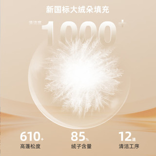 雪中飞 V领轻薄羽绒马甲 女士 黑色 M码