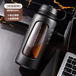 GIANXI 玻璃杯大容量水杯男士泡茶杯子2026新款高硼硅茶水分离杯子