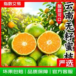 云南蜜桔无籽青皮桔子 果径50-60mm 净重3斤