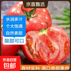 京喜 山东新鲜沙瓤大番茄西红柿减肥早餐即食新鲜蔬菜生鲜单果＞100g 畅享装 3斤 净重