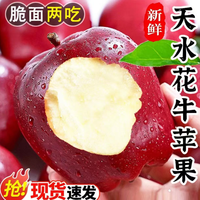 移动专享、移动端：现摘现发甘肃天水新鲜花牛苹果坏果包赔脆粉两吃9