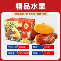 百亿补贴：正宗云南天山雪莲果净重5/9斤水果气柱彩箱250-300g
