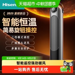海信 取暖器家用立式暖风机摇头卧室定时取暖器客厅烤火炉AI智能