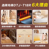 先锋 踢脚线取暖器家用暖烘衣一体机石墨烯防水速热远程控制暖风机