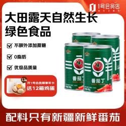 冠农股份 新疆番茄丁400g*4罐西红柿蕃茄块罐头 2026年新产季